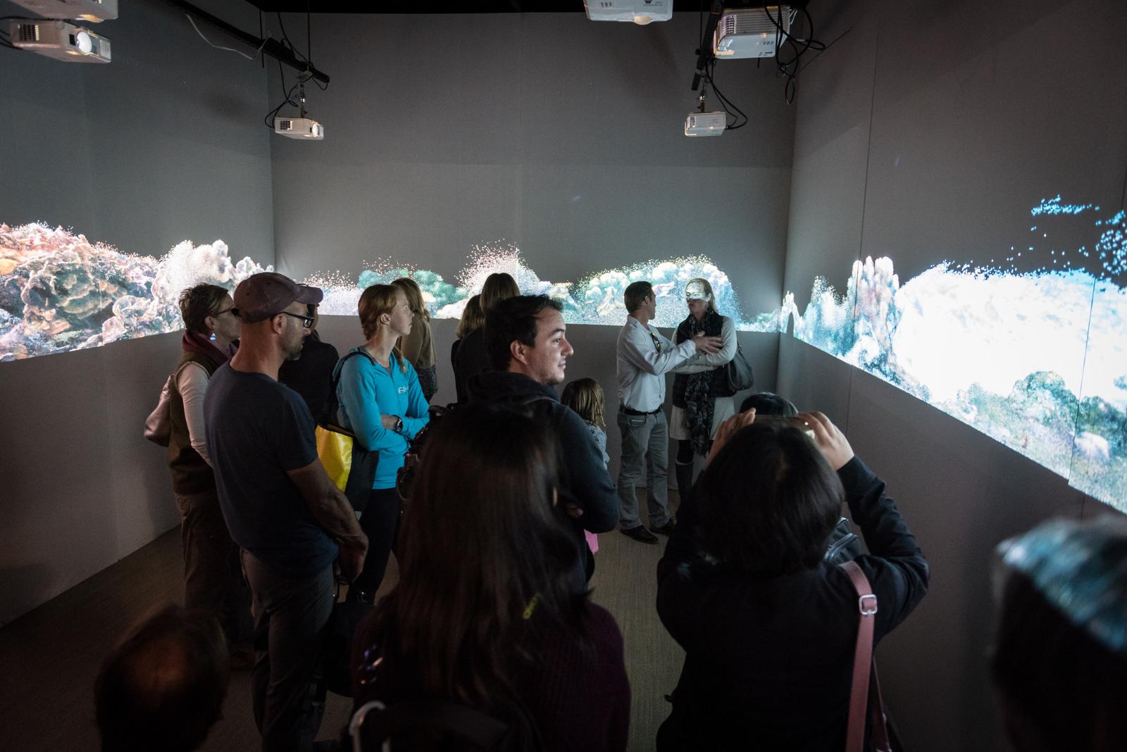 Immersive installation